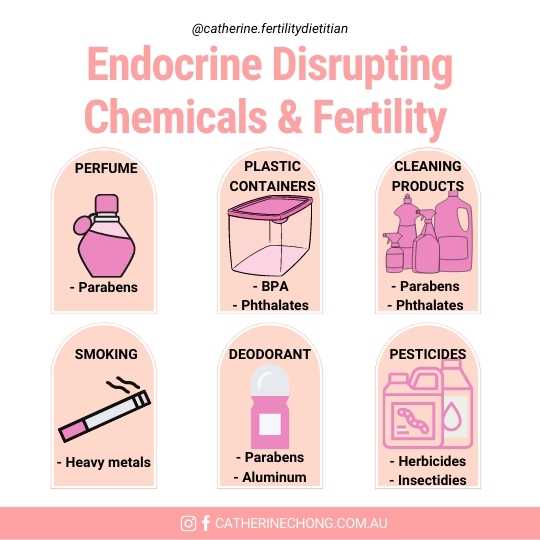 Endocrine Disrupting Chemicals & Fertility