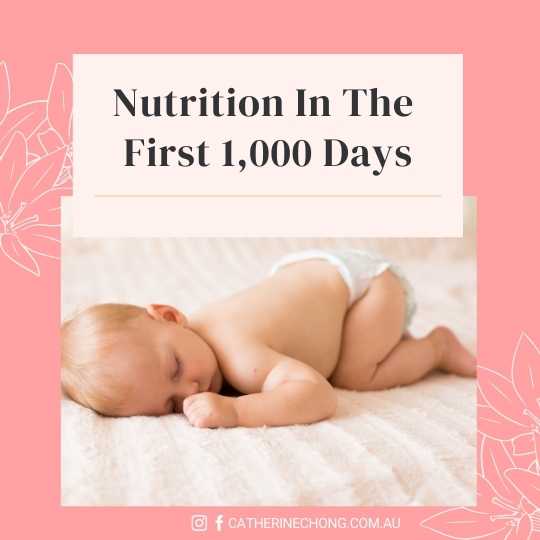 Nutrition In The First 1,000 Days