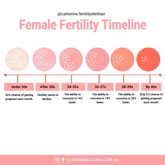 Female Fertility Timeline