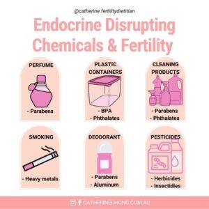 Endocrine Disrupting Chemicals and Fertility