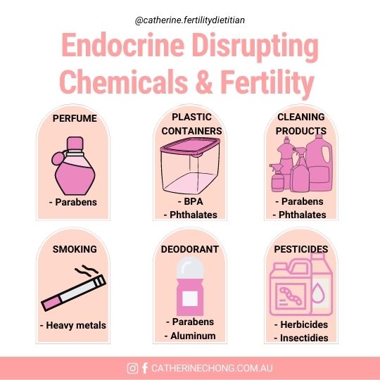 Endocrine Disrupting Chemicals and Fertility