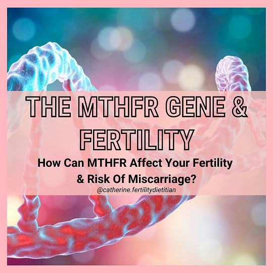 MTHFR & Fertility
