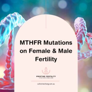 MTHFR Gene Mutation and Fertility