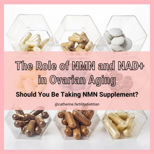 NMN Supplement for Fertility