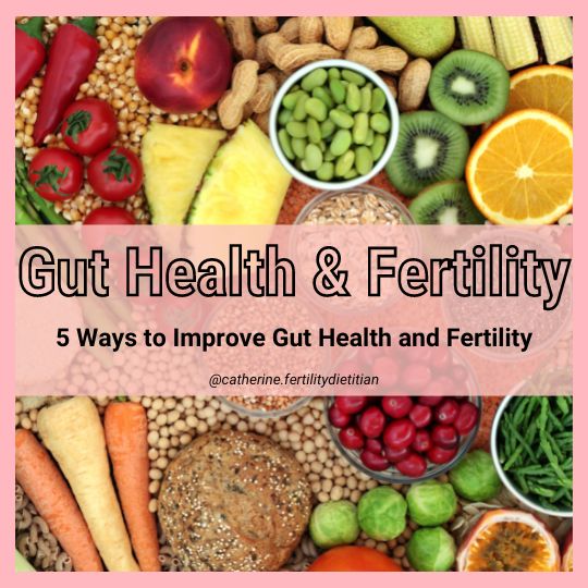 Gut Health & Fertility