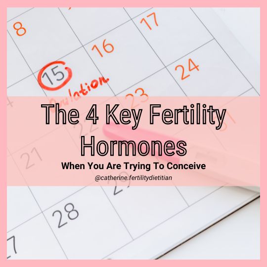 Fertility Hormones For Women Trying To Conceive