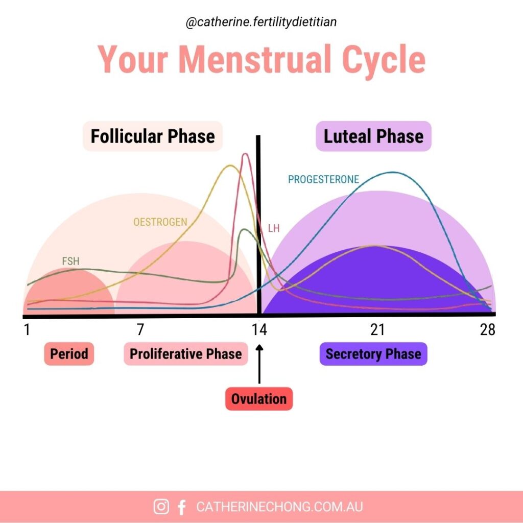 Krista King, Hormone Balance Dietitian on Instagram: LUTEAL PHASE🌻 - Ah,  everybody's favorite phase! Jk, that's usually follicular / ovulation, the  luteal ph…