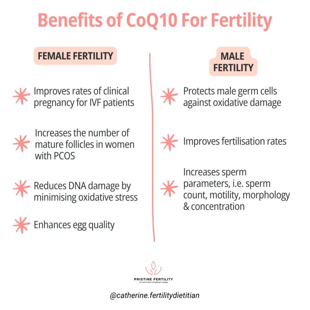 Coq10 supplements for female & male fertility