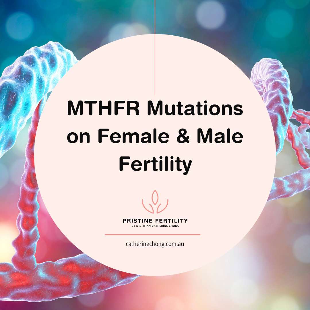 MTHFR mutation on female & male fertility