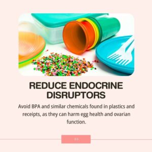 The Ultimate Egg Freezing Diet Guide - Reduce Endocrine Disruptors