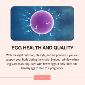 Fertility After 35: What You Can Still Control - Egg health and quality