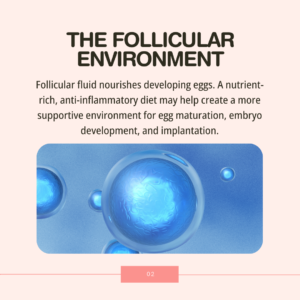 Fertility After 35: What You Can Still Control - The follicular environment
