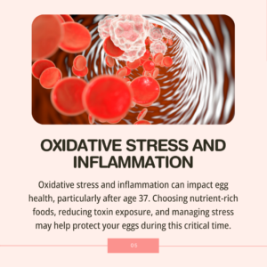 Fertility After 35: What You Can Still Control - Oxidative stress and inflammation