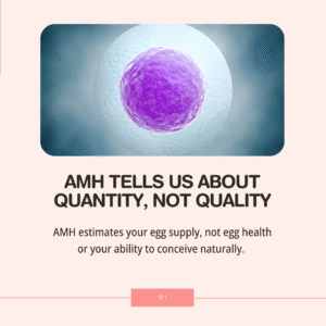 Low AMH? 
What It Means for Your Fertility - AMH tells us about quantity, not quality