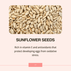 5 Fertility Superfoods to Boost Egg Health - Sunflower Seeds