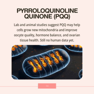 3 Egg Quality Supplements to Watch in 2026 - Pyrroloquinoline Quinone (PQQ)
