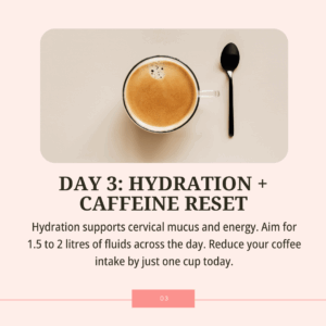 5-Day Fertility Reset After The Holidays - Day 3: Hydration + Caffeine Reset